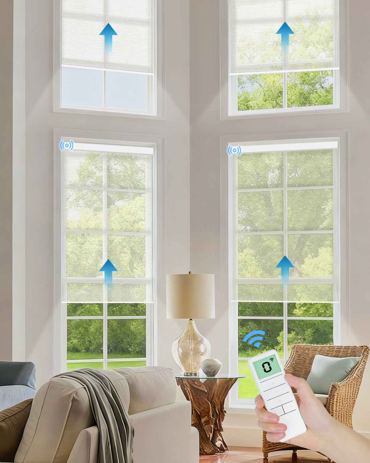 Motorized Light Filtering Roller Shades - Sheer Fabric