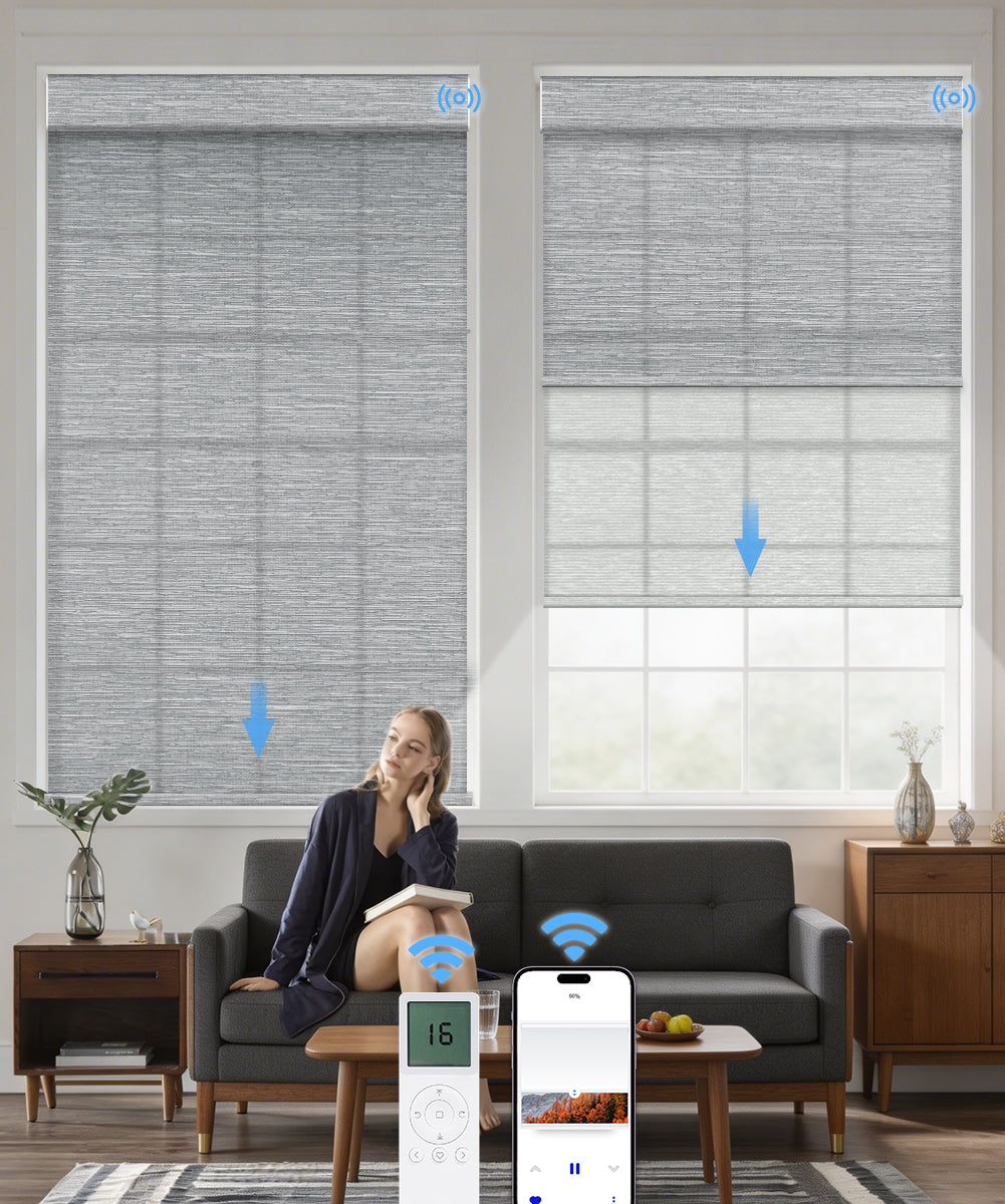 Motorized Dual Roller Shades, Light Filtering & Sheer
