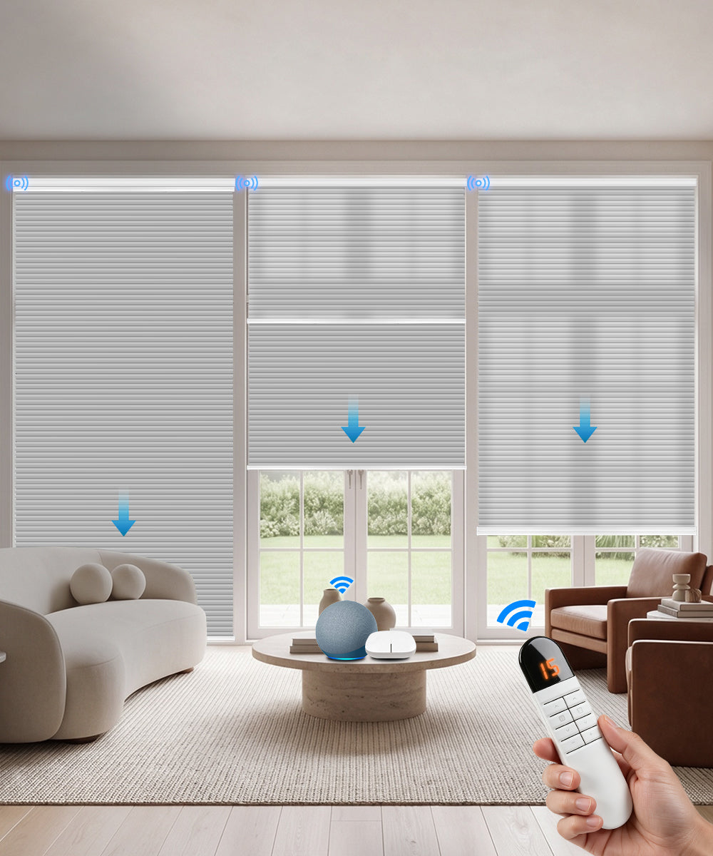 Motorized Day Night Cellular Shade (Light Filtering + Blackout)