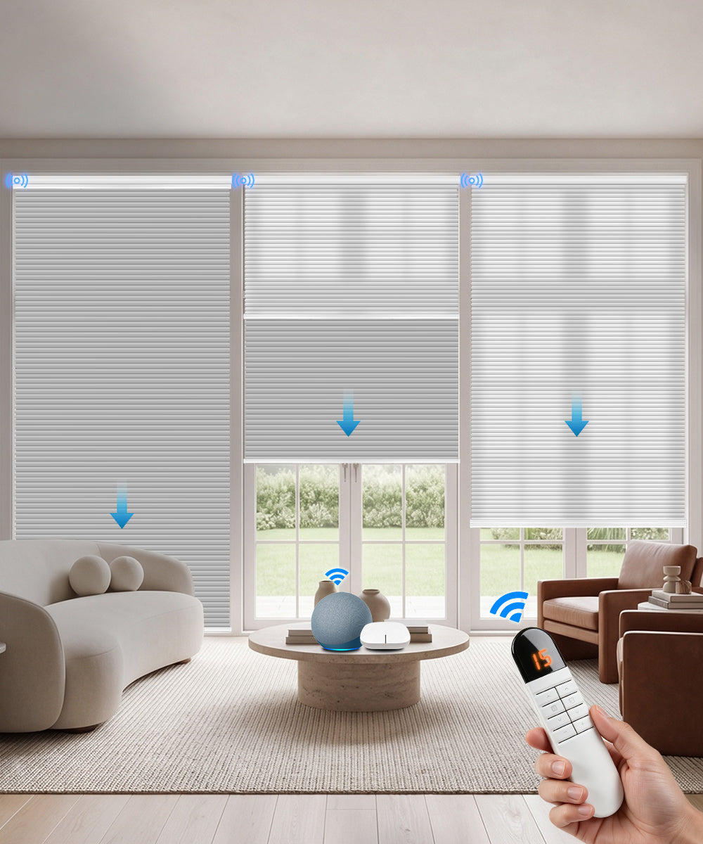 Motorized Day Night Cellular Shade (Light Filtering + Blackout)