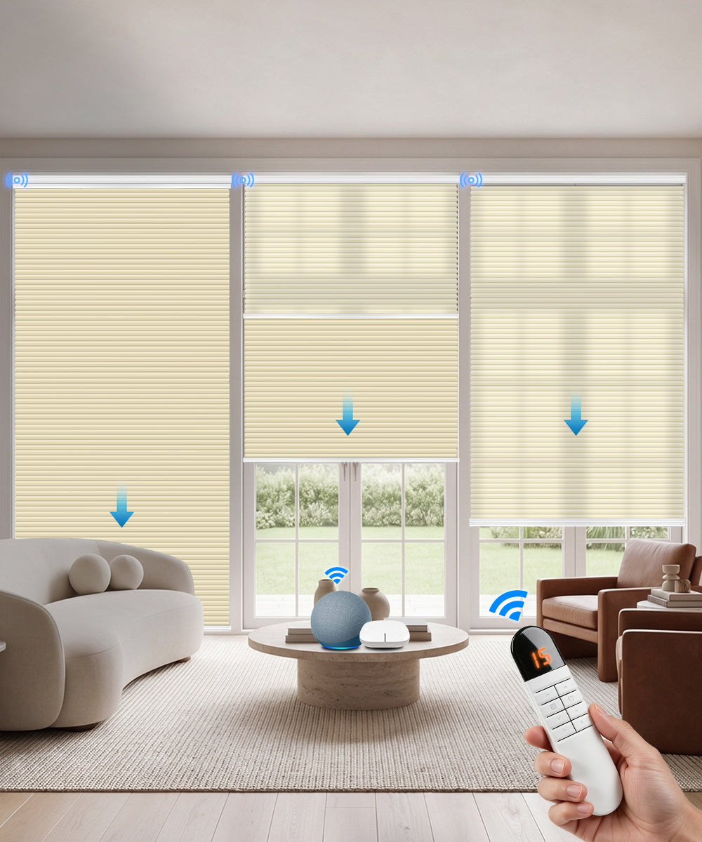 Motorized Day Night Cellular Shade (Light Filtering + Blackout)