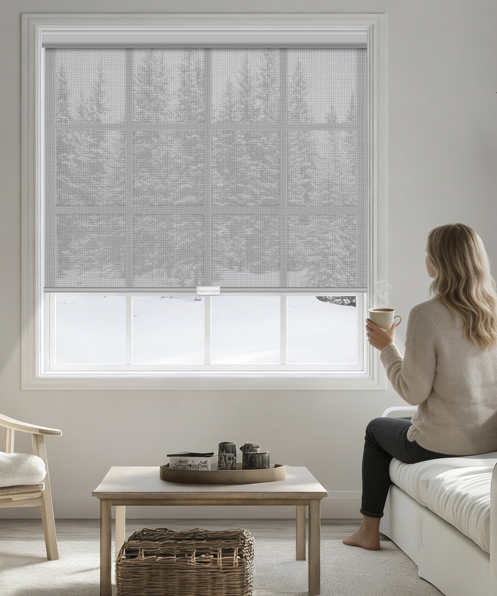 Manual Cordless Light Filtering Roller Shade - Fireproof Fabric