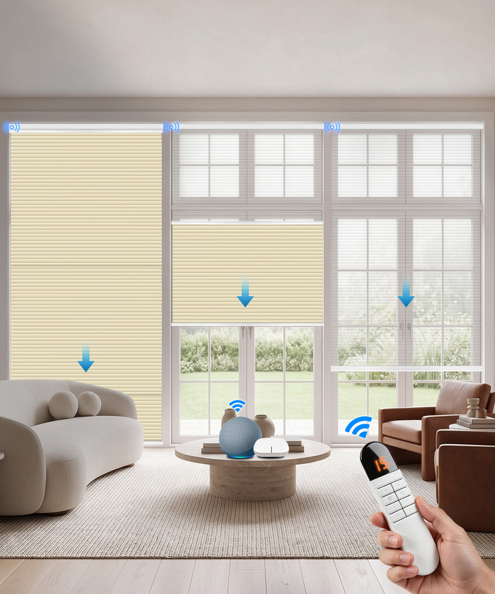 Motorized Day Night Cellular Shades – Sheer & Blackout/Light Filtering